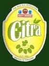 Ossett - Citra 4.2%